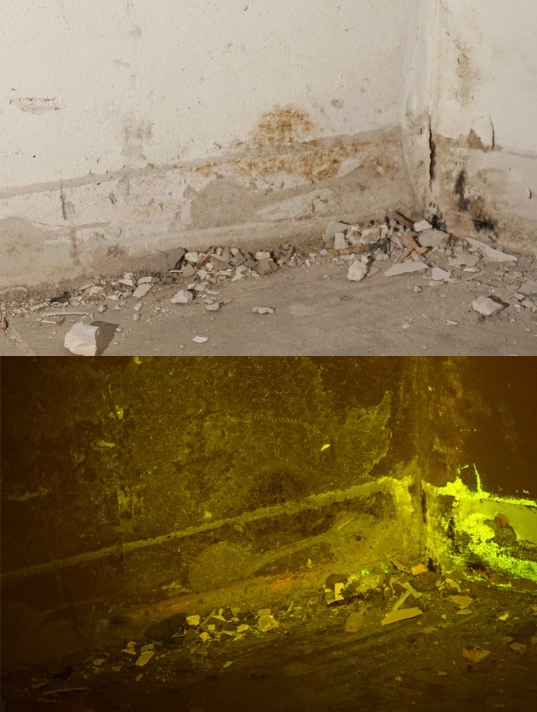 Aufnahme unter normalen Lichtverhältnissen und Bauforensische Bildaufnahme im Vergleich